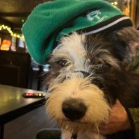 Fedelma McNamara (@fedelmam) 's Twitter Profile Photo Fedelma McNamara (@fedelmam) 's Twitter Profile Photo