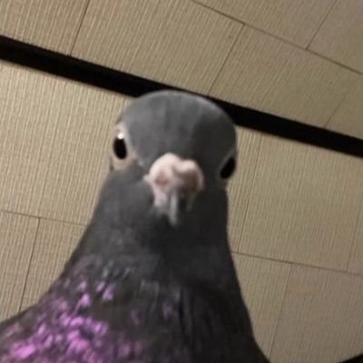 Ahmedyasse71592's profile picture. 