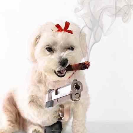 Polynice78's profile picture. Shoping