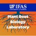 UF/IFAS Plant Root Biology Laboratory 🍊🍋 🫒🍑☕️ (@UFRootBioLab) Twitter profile photo