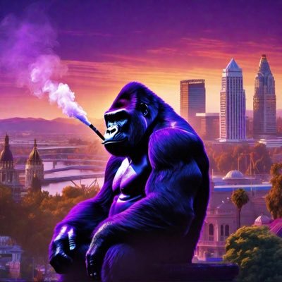 RCGorilla Profile Picture