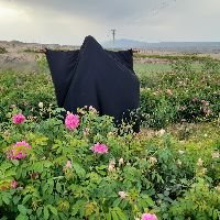 مامان علی عرفان (@alierfan78981) 's Twitter Profile