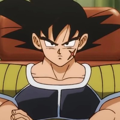 bardock_pl Profile Picture