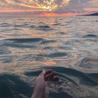 shoog (@shoogr858) Twitter profile photo