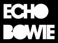 Echo Bowie performed the work of the legendary artist David Bowie. Bowie’s own official website Bowienet calls the band ‘the excellent Echo Bowie’.