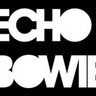 ECHOBOWIE1's profile picture. Echo Bowie performed the work of the legendary artist David Bowie. Bowie’s own official website Bowienet calls the band ‘the excellent Echo Bowie’.
