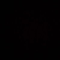 Gawdat Elmokaly (@elmokalygawdat) 's Twitter Profile
