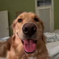 Barry Howell (@madadad2) 's Twitter Profile
