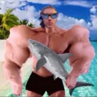 new guy (formerly miIf defender) (@safestwebuser) 's Twitter Profile