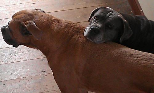 Gilo46's profile picture. 