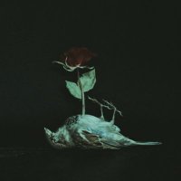 nâzirun (@usfuurunsagir) Twitter profile photo