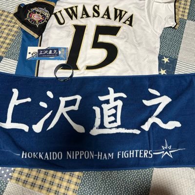 #lovefighters⚾️99'line日ハムファン歴12年。奈良間推し。