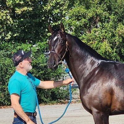 Critter Creek Farm is a training center, sales consigner, and breeder of premium Thoroughbred Race Horses. Stormy Hull and Guy Hull. Reardan, Washington