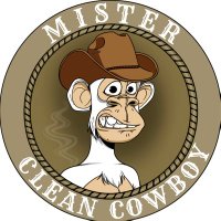 Mister Clean Cowboy (@mrcleancowboy) 's Twitter Profile