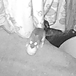 Ichhassedatenk1's profile picture. nothing