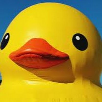 DucktheHakkemm's profile picture. 🌐  | 🚀 Aprendiz eterno em cybersec