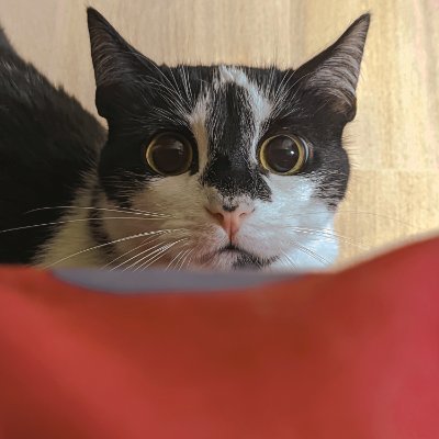 EliasSampedro's profile picture. 