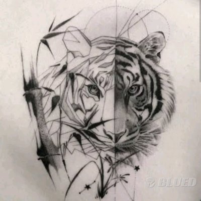 tolits1464740's profile picture. 