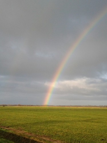 BasGerdingh's profile picture. 