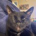 James Garrow (@jamesjcrpg) Twitter profile photo James Garrow (@jamesjcrpg) Twitter profile photo