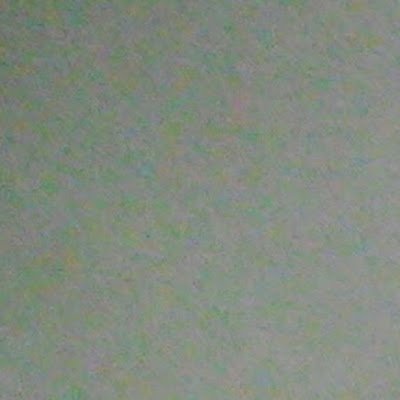 Tigerrider72975's profile picture. 