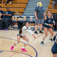 Miliani (Mili) Villarreal (@mili15libero) 's Twitter Profile