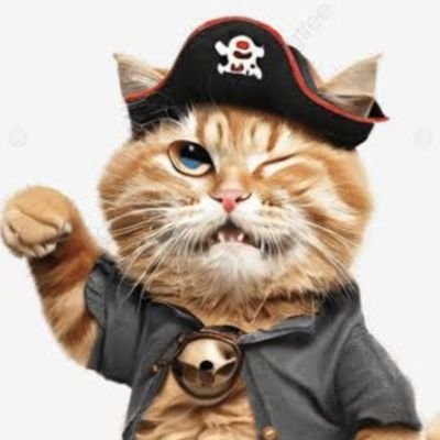 shimanoneko's profile picture. 好奇心ギンギン。