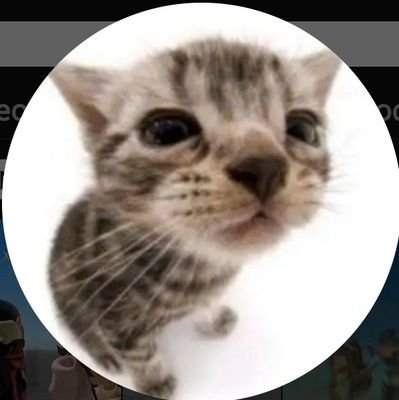 tumamitarika7w7's profile picture. 