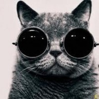 DevExp