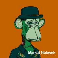 0xfortsessr's profile picture. Chihuahua's nfts built on solana stake and earn $chih