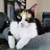 Baby Patches (@babypatches) Twitter profile photo Baby Patches (@babypatches) Twitter profile photo