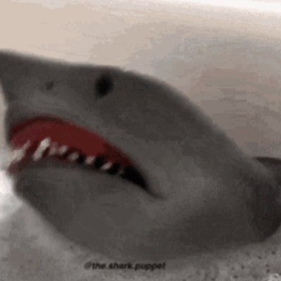 FriendPuppets's profile picture. 