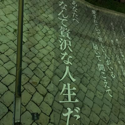 ポケモンSV 2000時間やってる廃人です。ランクマ🤼、色違い厳選勢🌟/剣盾最終89位、SV最終100位/気軽にフォローして下さい!