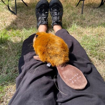 natsu1249music's profile picture. '93 音楽垢 SUPER BEAVER♡友の会  sumika/official髭男dism