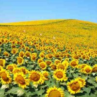 三浦綾子 MIURA_AYAKO (@miura_ayako) 's Twitter Profile Photo 三浦綾子 MIURA_AYAKO (@miura_ayako) 's Twitter Profile Photo