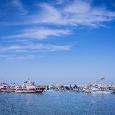 grapherchoihyun's profile picture. 다시 또 한번..