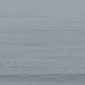 Dande_ao's profile picture. よろしく〜