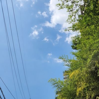 origodkk's profile picture. 