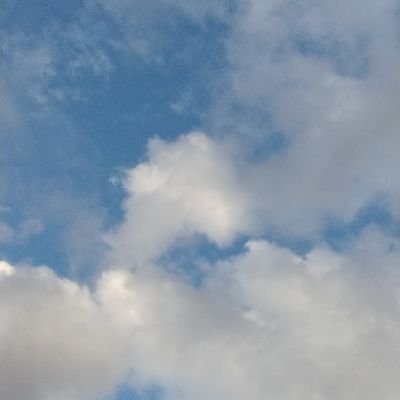 kouta_3021's profile picture. 彼女募集中！
大阪住みの男子高校生！
気軽に話しかけてね！