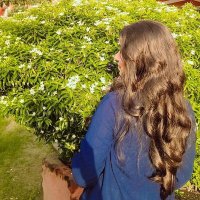 Akriti Singh ❤️ (@akritisingh_08) 's Twitter Profile Photo Akriti Singh ❤️ (@akritisingh_08) 's Twitter Profile Photo