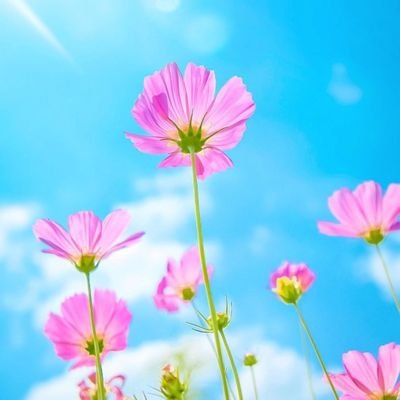 태어난후 첨으로 투표안함 ㅡ이윤 막산이 민주당 후보였기에 ㅡ 그렇다고 윤썩열을 찍을수는 없기땜시