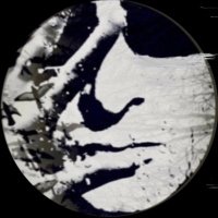 Wulf (@valhallawulf) 's Twitter Profile