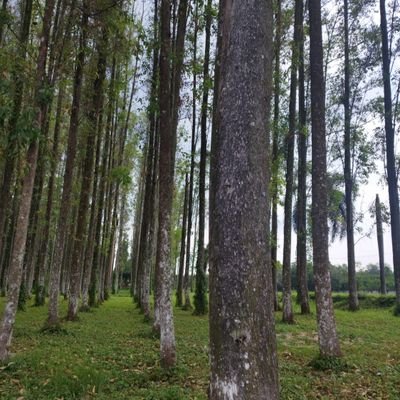 rdy_19's profile picture. do'a di sepertiga malam, yakin aja dulu.