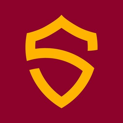 Roma Stats Profile