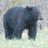 RobertWyler's profile image