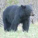 Robert Wyler - @RobertWyler - Twitter