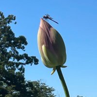 himhim🦄🦭🧸🐈‍⬛ (@him_zuta428) 's Twitter Profile Photo