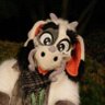 moodlemarin's profile picture. Fursuiter | Goatdragon | lvl 27 | 🇩🇪🇬🇧 | Mechanic |
