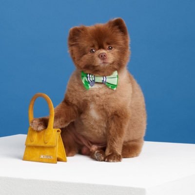 teatimewith_u's profile picture. *̩̩̥*̩̩̥ ୨୧⑅ ୨୧ *̩̩̥*̩̩̥