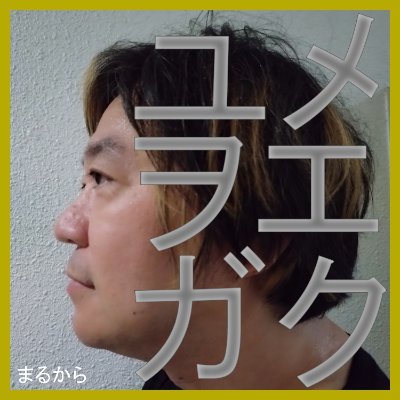 まるから🇭🇰 両声類　光復香港　8964天安門広場さんのプロフィール画像